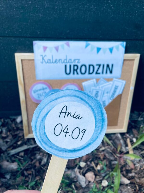 KALENDARZ URODZIN - LIZAKI - obrazek 3