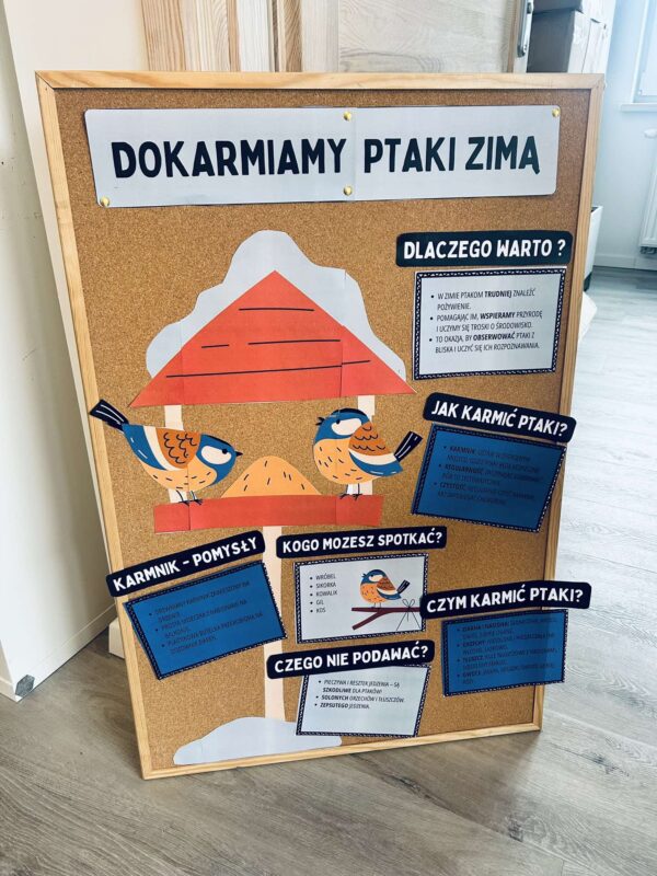 DOKARMIAMY PTAKI ZIMĄ - obrazek 4